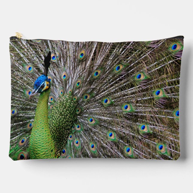 Peacock Zubehörtasche (Vorderseite)
