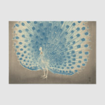 PEACOCK-Zwirnpapier