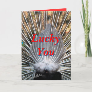 Peacockbutt card2-customize irgendeine Gelegenheit Karte