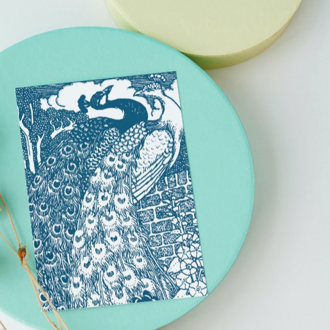 Peacocks (Von Creator hochgeladen)