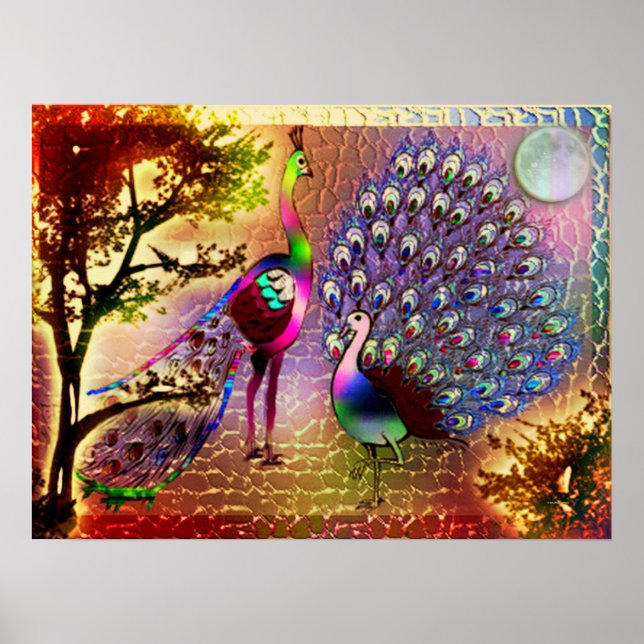 Peacocks2 Poster (Vorne)