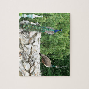 Peacocks Oiseaux Jardin Photo Puzzle avec boîte ca