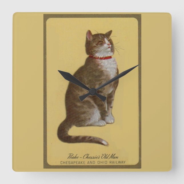 Peake, Chessie’s Old Man tomcat tabby cat Quadratische Wanduhr (Vorderseite)