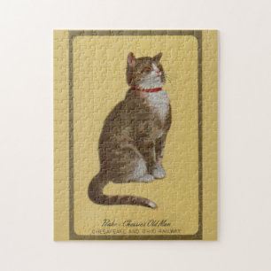 Peake, Chessie's Old Man Tomcat Tabbykatze