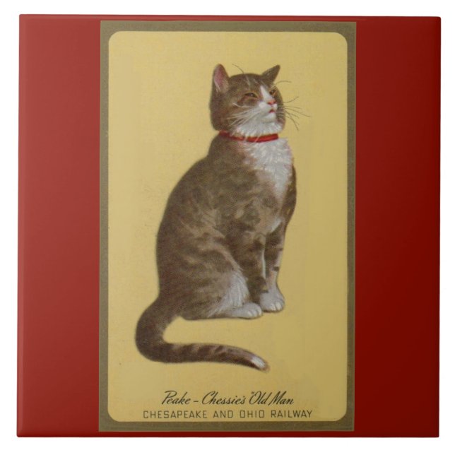 Peake, Chessie's Old Man Tomcat Tabbykatze Fliese (Vorderseite)