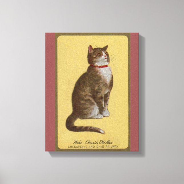 Peake, Chessie's Old Man Tomcat Tabbykatze Leinwanddruck (Vorderseite)