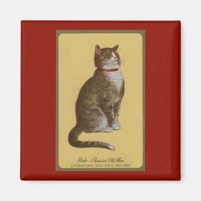 Peake, Chessie's Old Man Tomcat Tabbykatze Magnet (Vorne)