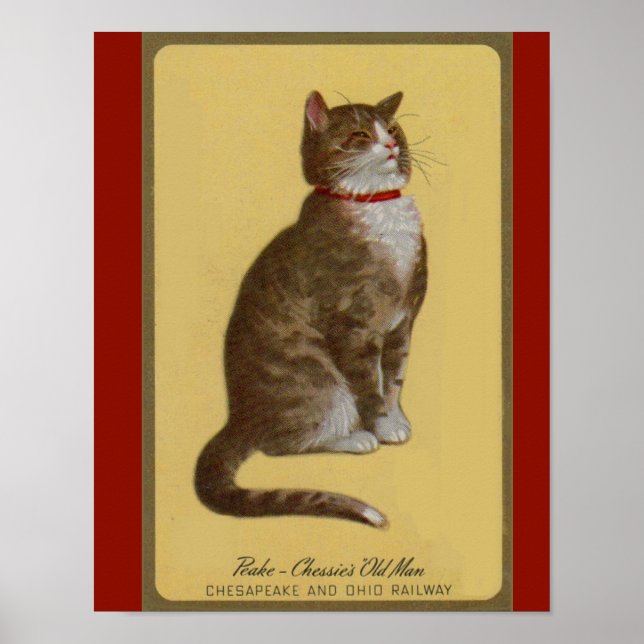 Peake, Chessie's Old Man Tomcat Tabbykatze Poster (Vorne)