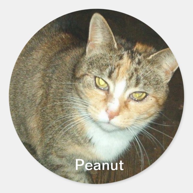 PEANUT STICKER (Vorderseite)