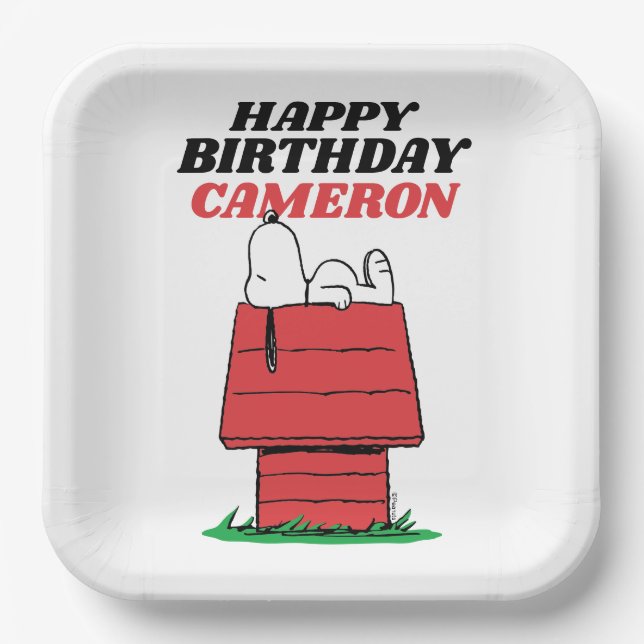 Peanuts Snoopy Dog House Birthday Paper Plates Pappteller (Vorderseite)