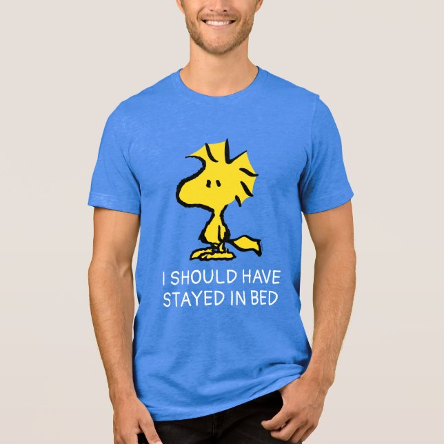 Peanuts | Snoopy's Friend Woodstock Tri-Blend Shirt (Vorderseite)