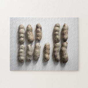 Peanuts Still Life Fine Art Fotograf