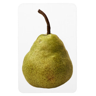 Pear Fruit Foto Magnet