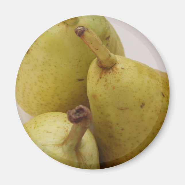 Pear Fruit Magnet (Vorne)