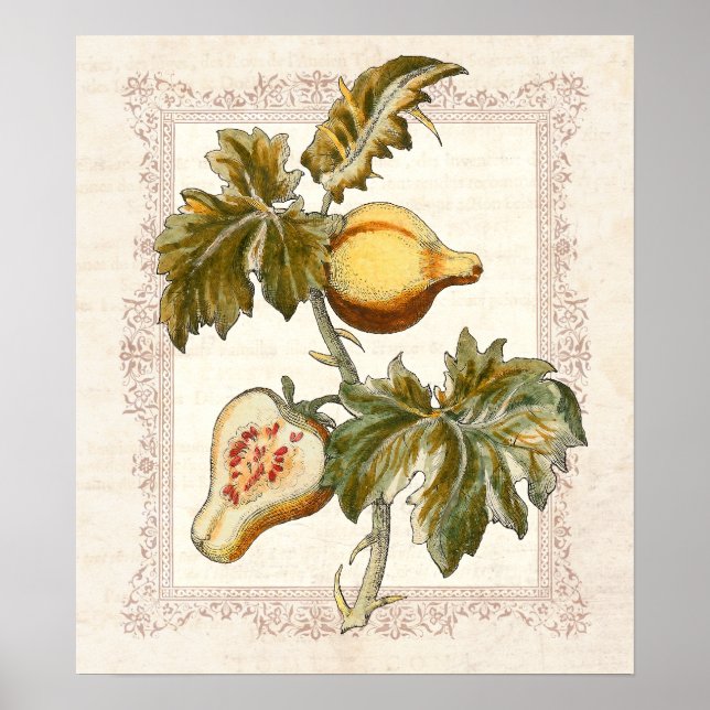 Pear Fruited Solanum Country Kitchen Decke Poster (Vorne)