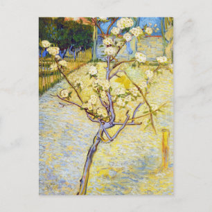 Pear Tree in Blossom Vincent van Gogh Kunst und Ku Postkarte
