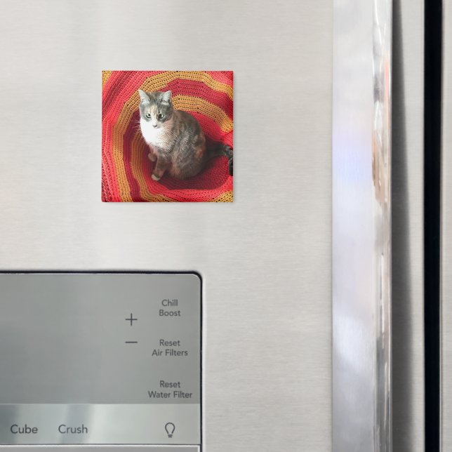 Pearl Cat über Afghanistan Magnet (In Situ (Kühlschrank))