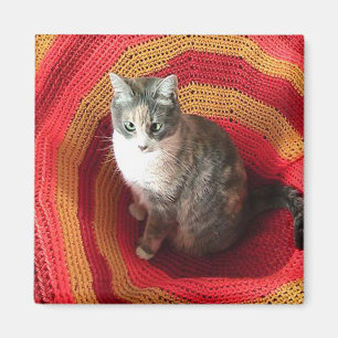 Pearl Cat über Afghanistan Magnet