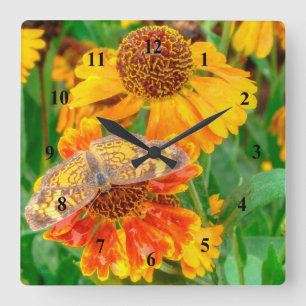 Pearl Crescent Butterfly auf Sneezeweed Quadratische Wanduhr