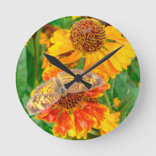 Pearl Crescent Butterfly auf Sneezeweed Runde Wanduhr