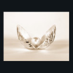 Pearl in Seashell Poster<br><div class="desc">Single-Perle in Muschel mit weichen Sepia-Tönen</div>