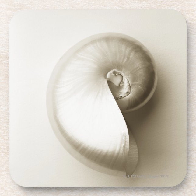 Pearlised NautilusseeMuschel 2 Getränkeuntersetzer (Vorderseite)