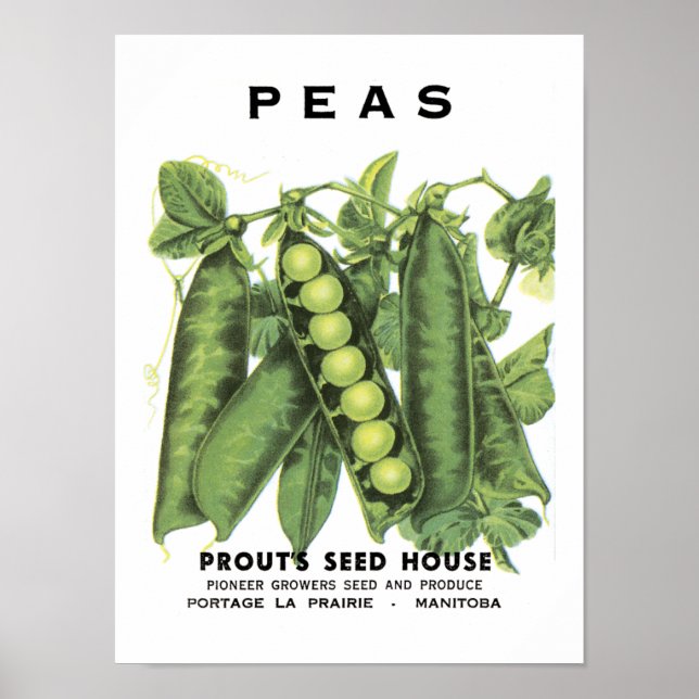 Peas-Vintage Saatpackung Poster (Vorne)