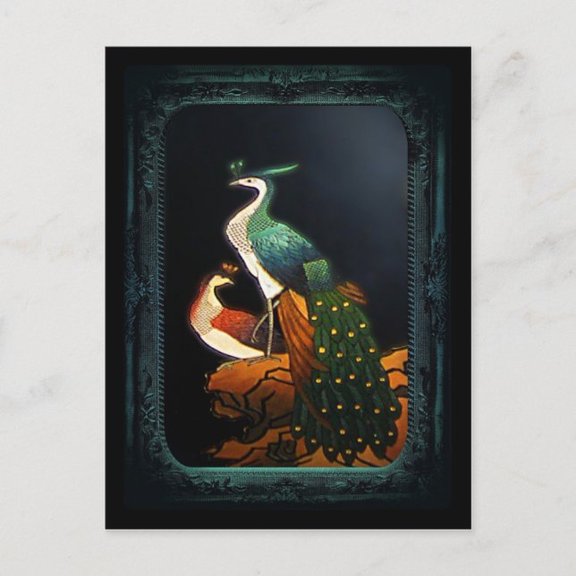 PeaSoot  Postkarte (Vorderseite)