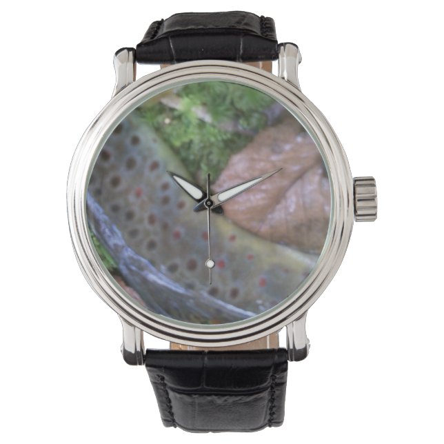 peau Brown de truite, montre de pêche à la mouche (devant)