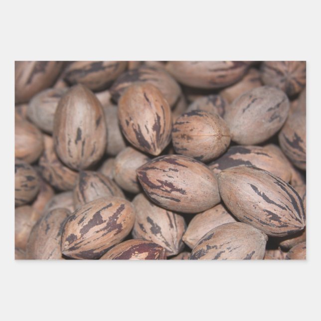 Pecan Wrapping Paper Geschenkpapier Set (Vorderseite)