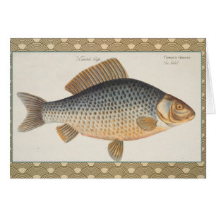 Pêche à la carpe peinture à l'eau douce