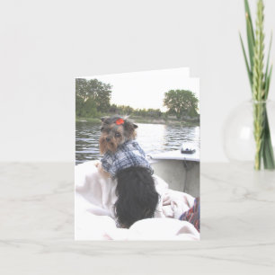 Pêche allée par carte pour notes de Yorkie