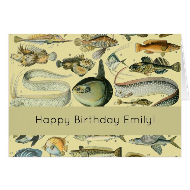 Pêche scientifique vintage (Devant horizontal)