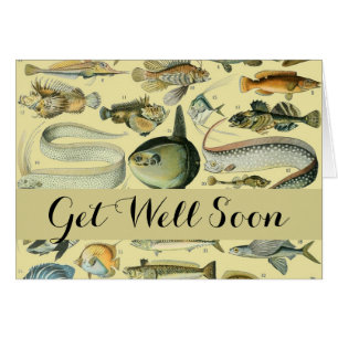 Pêche scientifique vintage