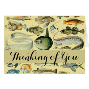 Pêche scientifique vintage