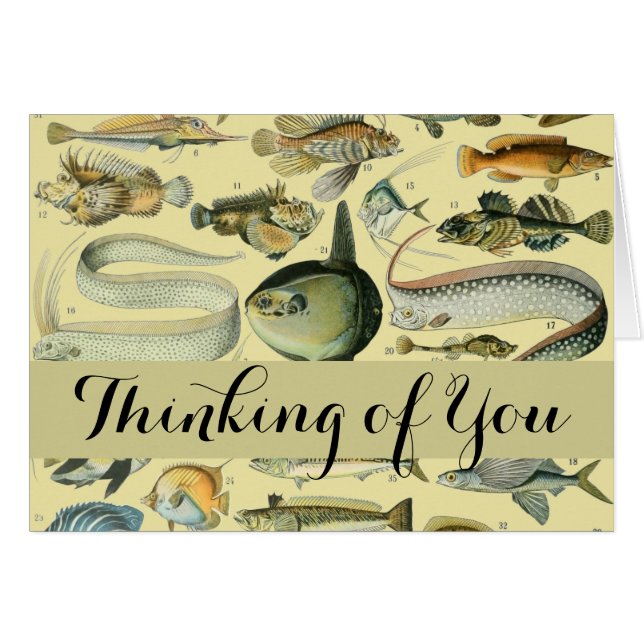 Pêche scientifique vintage (Devant horizontal)