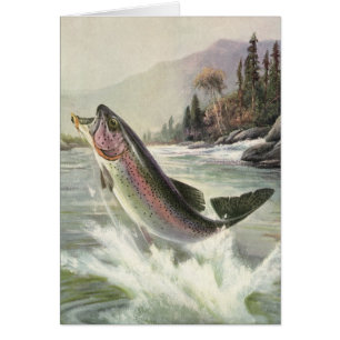 Pêche vintage à la truite arc-en-ciel, Pêche des p