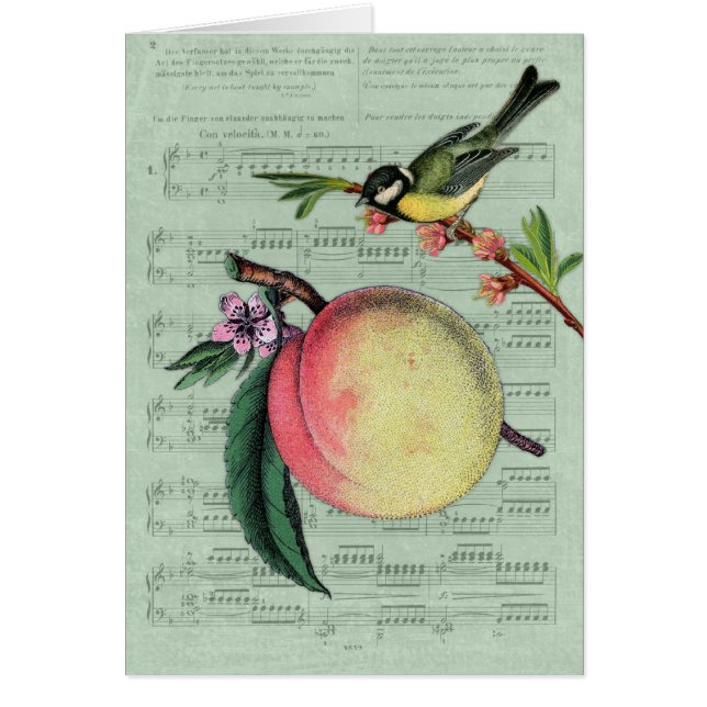 Pêche vintage et oiseau (Devant)