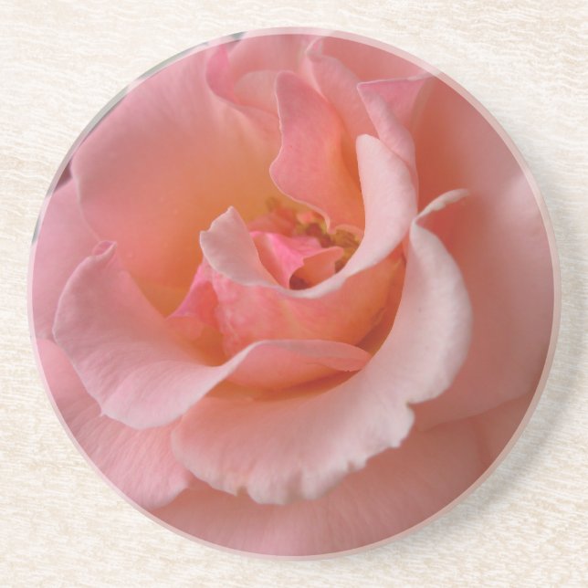 Pêcher Dessous de verre Roses Wild Roses Cadeaux C (Devant)