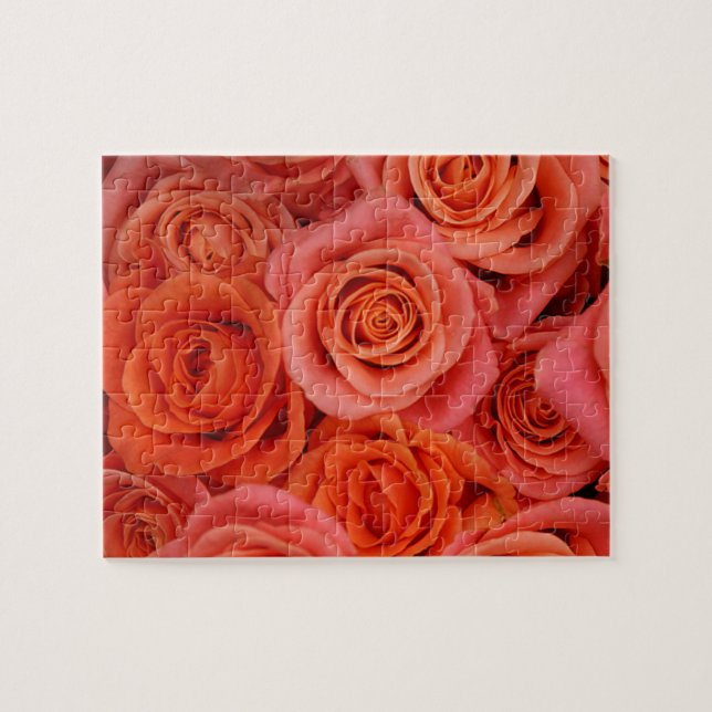 Pechorange-Tee-Rose (Horizontal)