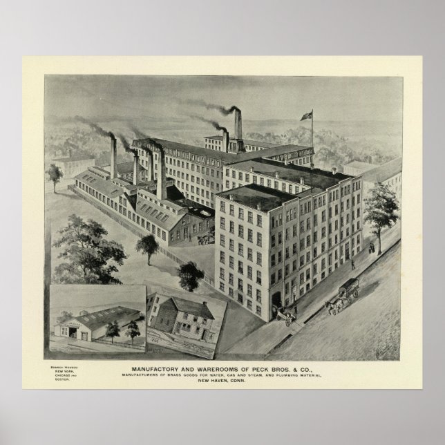 Peck Bros & Co Poster (Vorne)