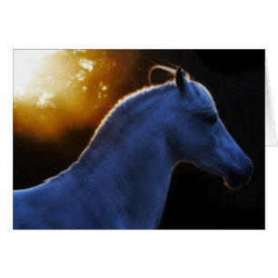 Pecos Dans La Lumière Du Soir