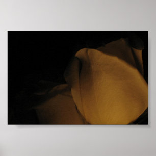 Pedale einer Rose Poster