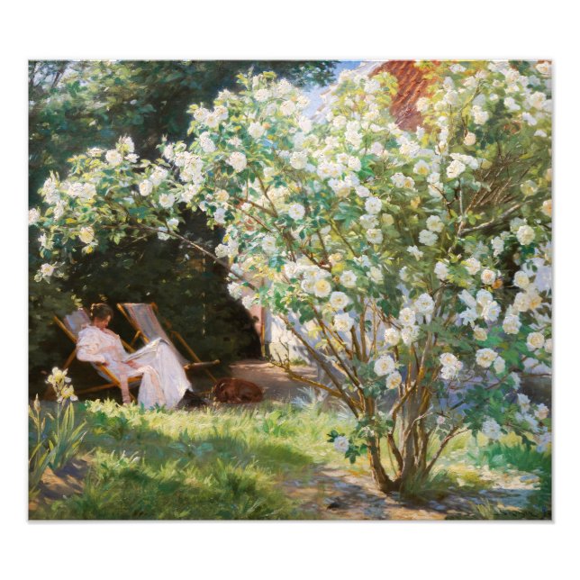 Peder Severin Kroyer - Rose Fotodruck (Vorne)