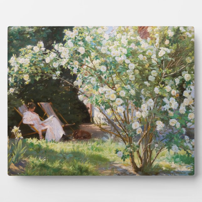 Peder Severin Kroyer - Rose Fotoplatte (Vorderseite)