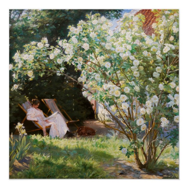 Peder Severin Kroyer - Rosen Poster (Vorderseite)