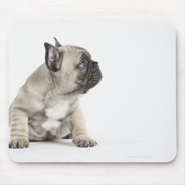 Pedigree Mousepad (Vorne)