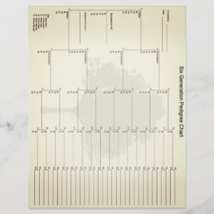 Pedigree Paper der sechsten Generation Vintag auss