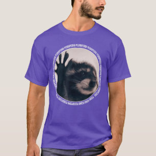Pedro Lustiger Waschbär Tanz Meme lustig T-Shirt