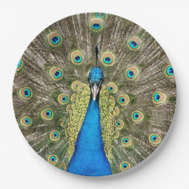 Pedro Peacock Feathers Colorful Wild Bird Pfau Pappteller